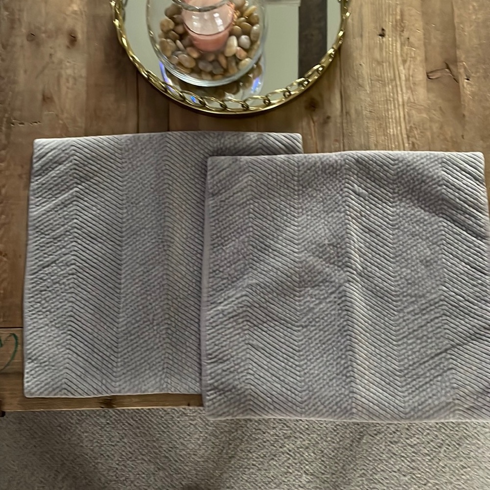 Restoration Hardware grey velvet chevron print pillow covers